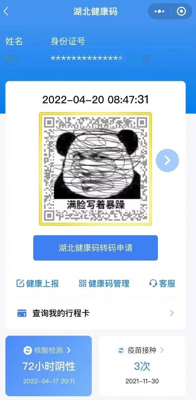 今期鼠猴兔出特,青草绿叶布满地指代表打猜一最佳准确生肖请全面2释义、解释与落实、时代解答解释落实