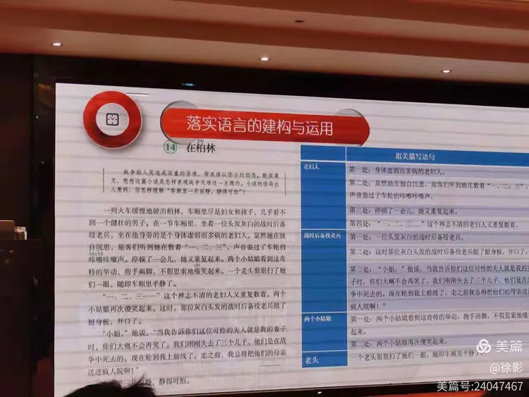 欲钱买披星戴月的动物打一肖，全面释义、构建解答解释落实