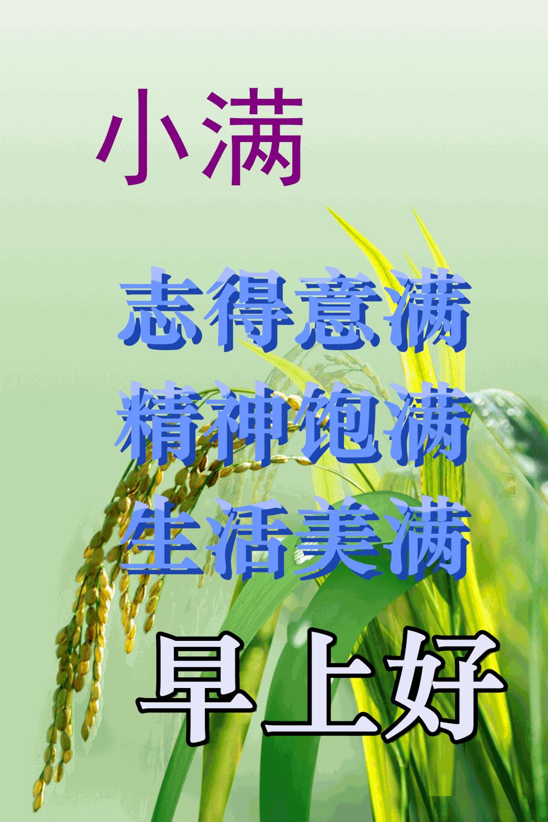 满面财气最有钱 东拼西错一堆数打一准确生肖仔细释义、解释与落实、前沿解答解释落实